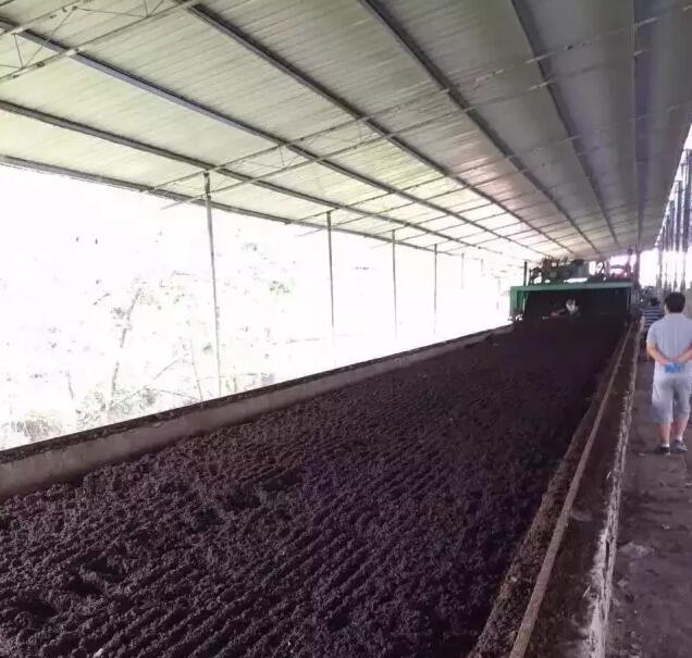 使用有機肥沒效果可能是這些原因 使用有機肥沒效果可能是這些原因